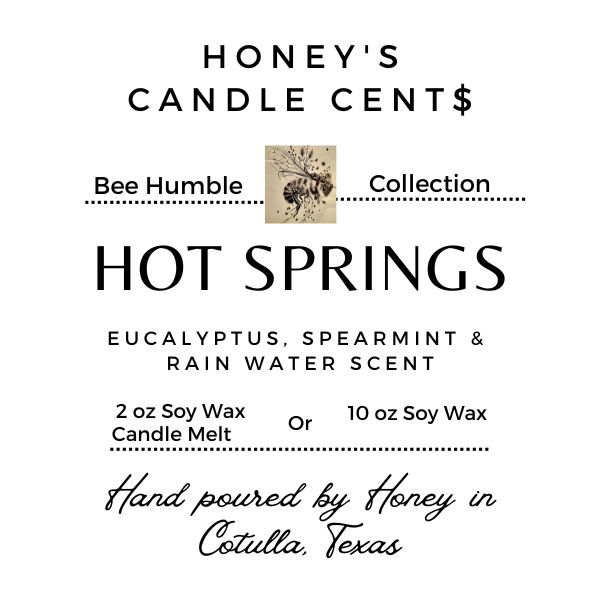 Hot Springs - Eucalyptus, Spearmint & Rain Water Wickless Candle