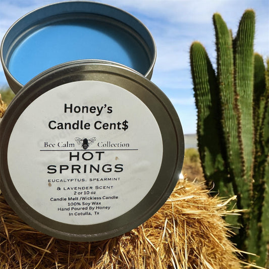 Hot Springs - Eucalyptus, Spearmint & Rain Water Wickless Candle