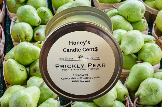Prickly Pear Wickless Candle ( Pear & Spice scent)